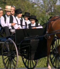 Los Amish: ¿Llegarán a dominar la Tierra?… (Sus códigos comunitarios son la clave de un crecimiento asombroso)