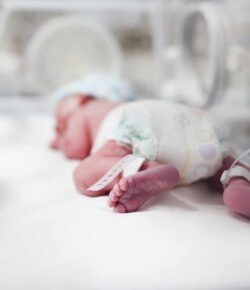 La Gran Preocupación de Hoy: La Falta de Bebés en el Mundo… Entonces: ¿En qué quedamos?