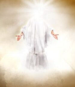 ¿Qué o Quién es la Imagen de Dios?