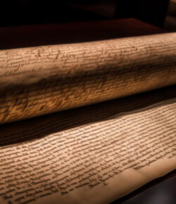 ¿Sabías del Código Voynich, el manuscrito que más raro del mundo?